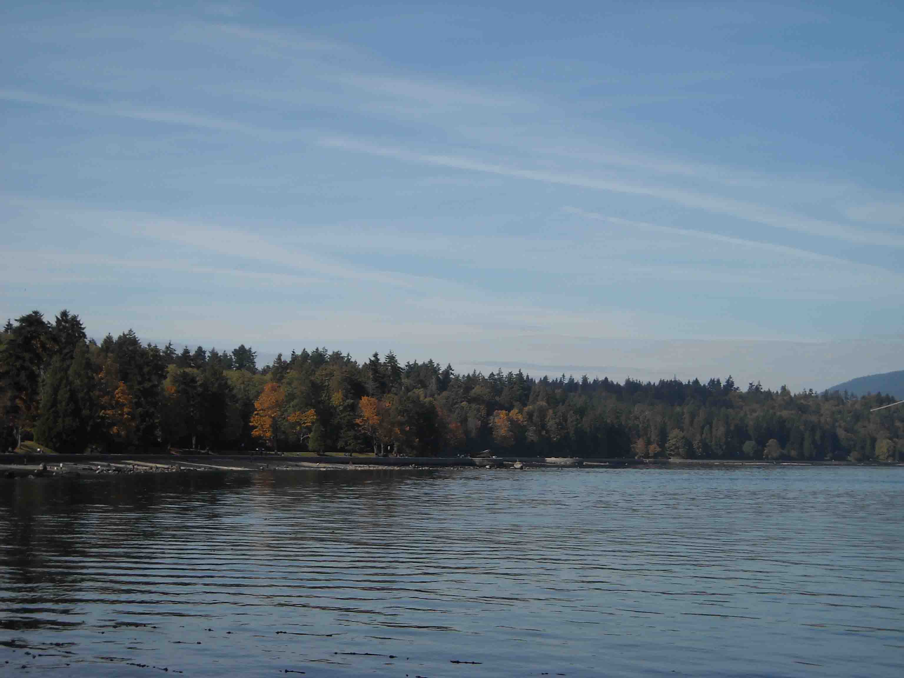 DSCN0108.jpg