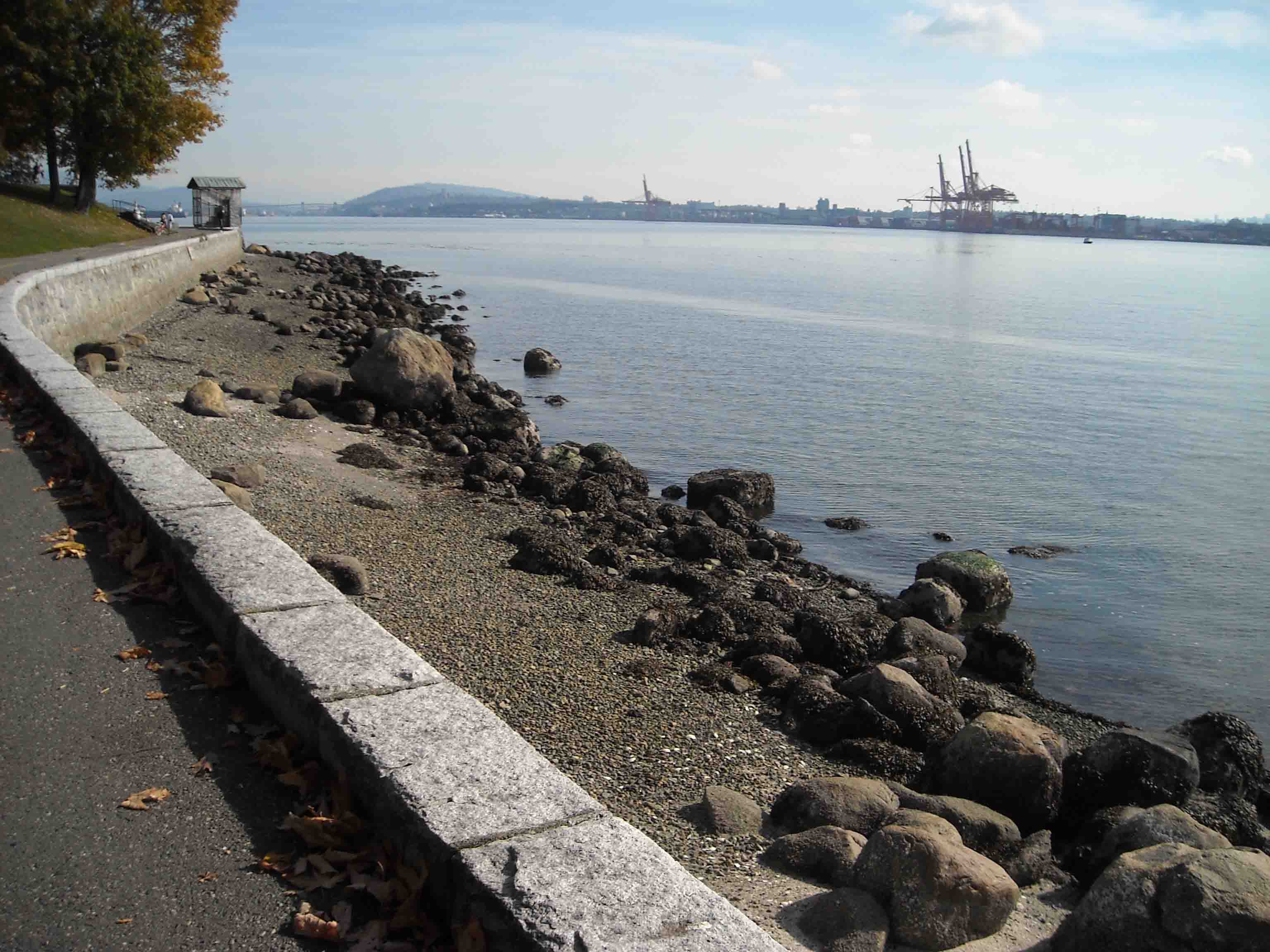 DSCN0129.jpg