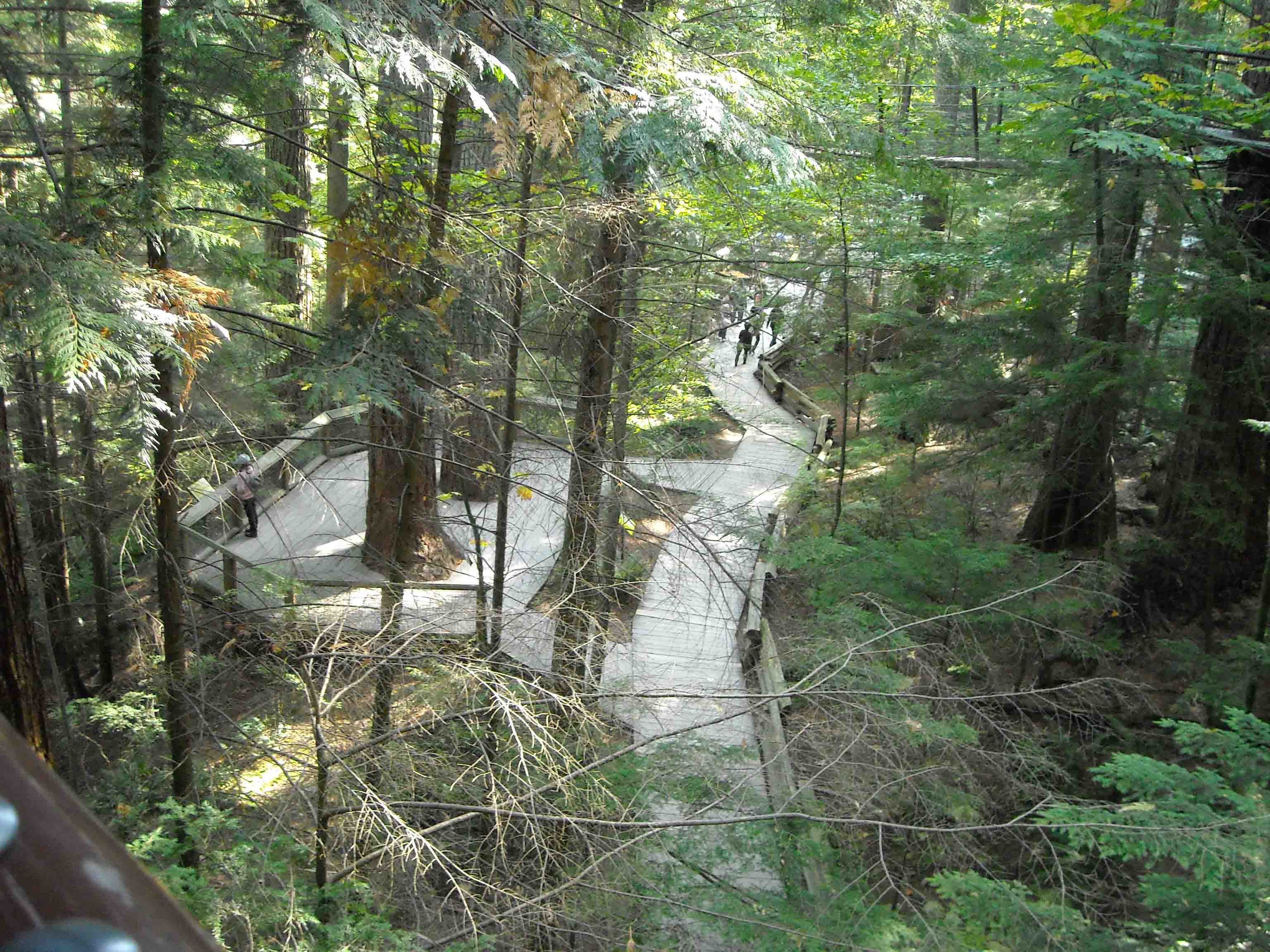 DSCN0152.jpg
