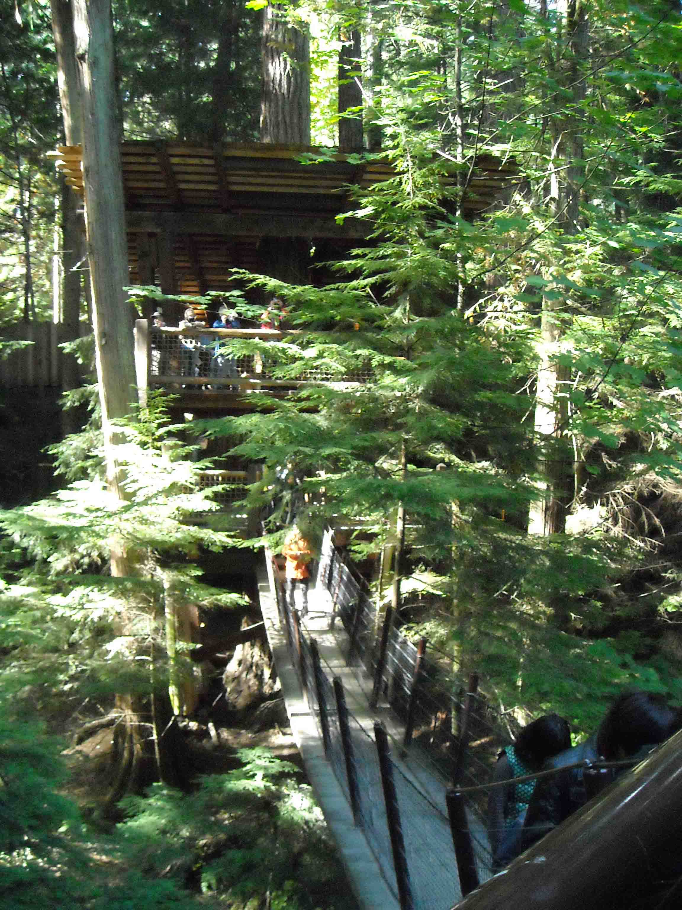 DSCN0153.jpg