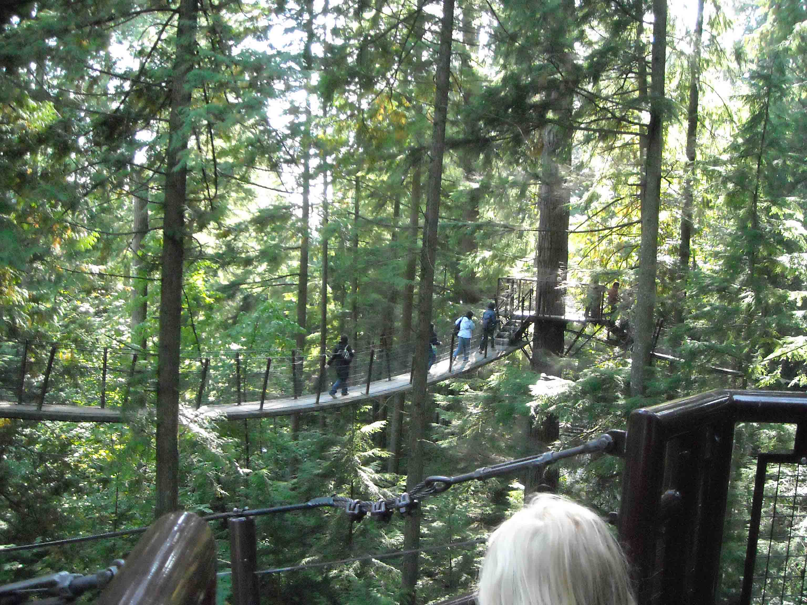 DSCN0155.jpg