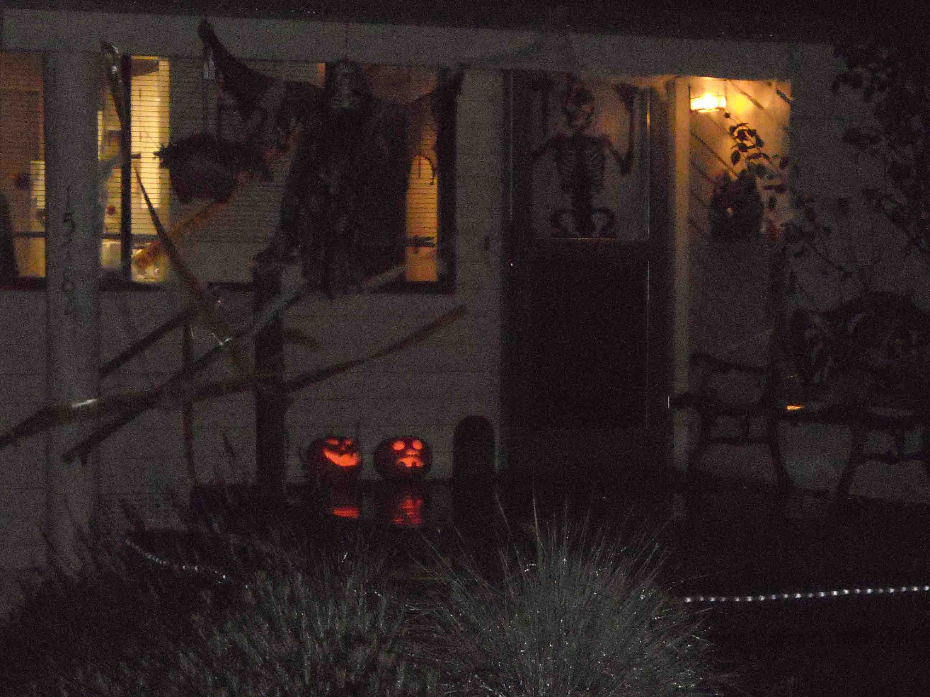 halloween 022.jpg