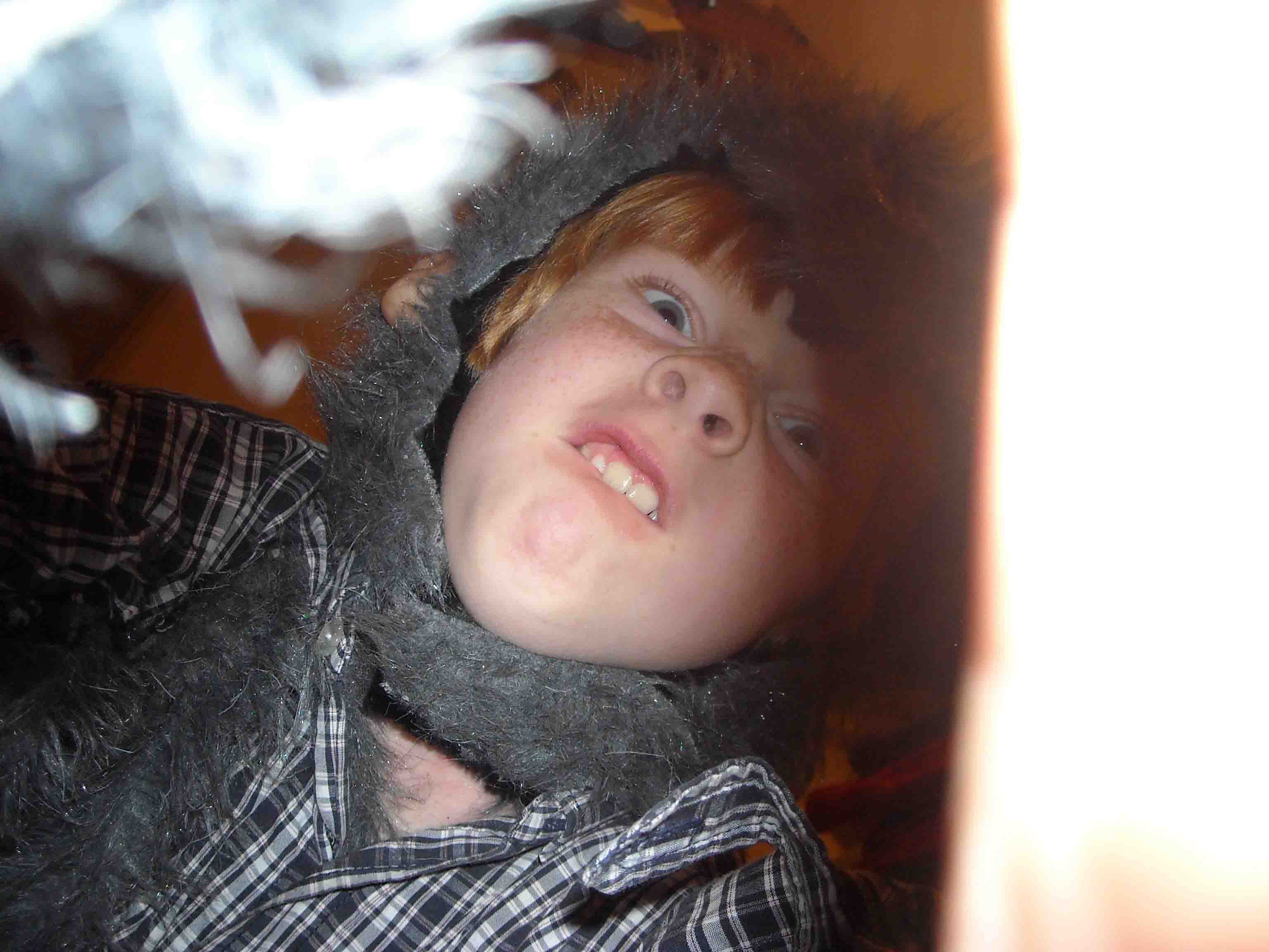 novy 339.jpg