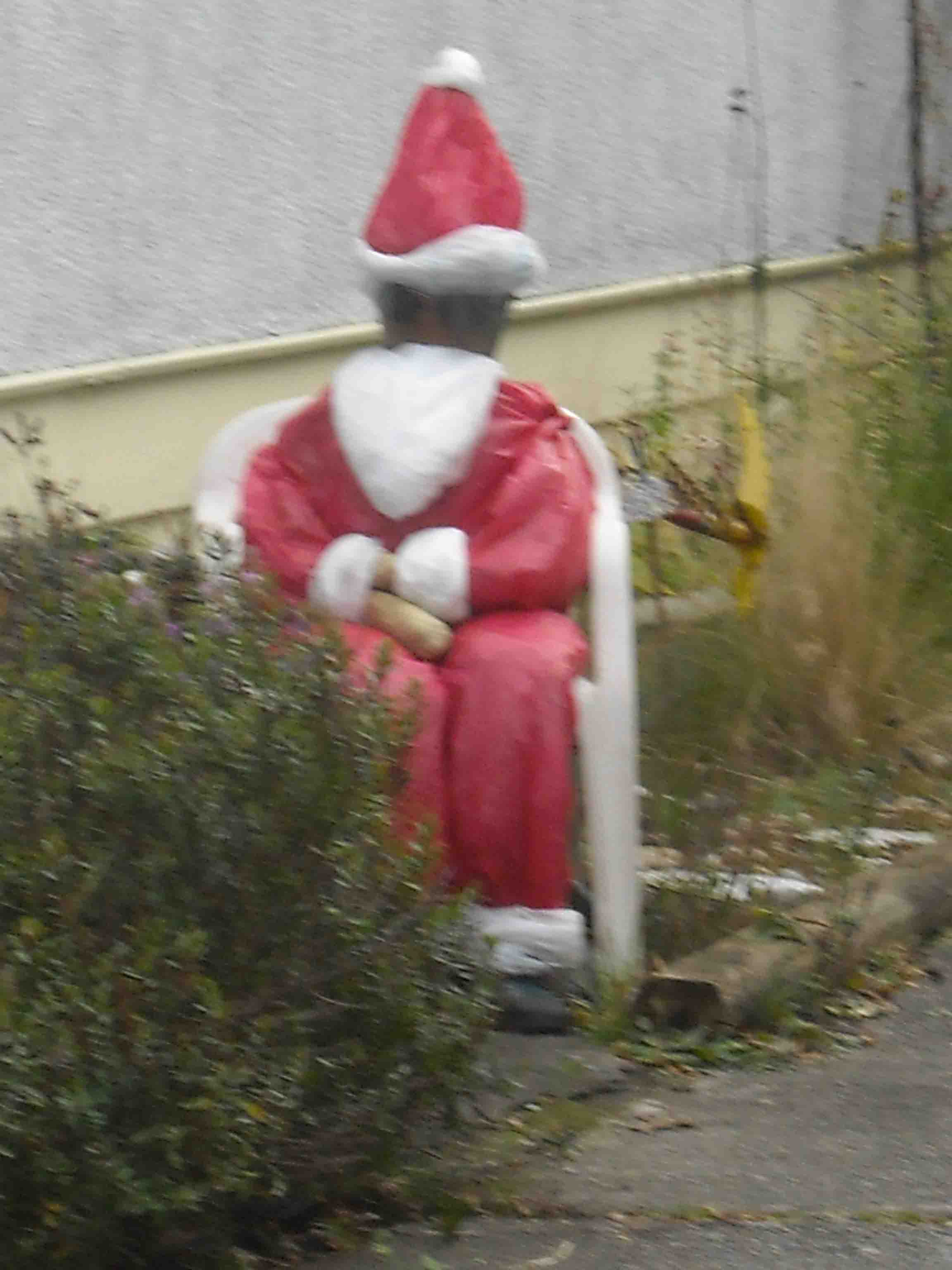 novy 334.jpg