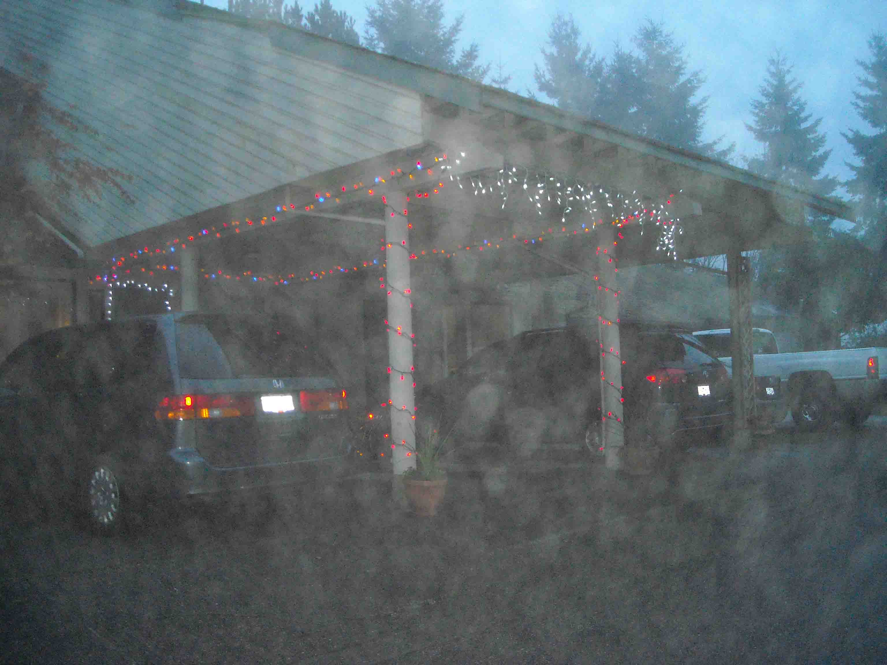 novy 403.jpg