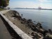 DSCN0129.jpg