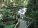 DSCN0149.jpg
