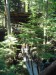 DSCN0153.jpg