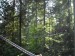 DSCN0154.jpg