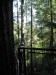 DSCN0156.jpg